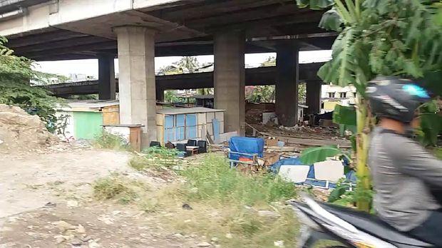Rumah bedeng mulai tumbuh subur di bawah tol di Kalijodo. Padahal, petugas sudah berulang kali menggusurnya.