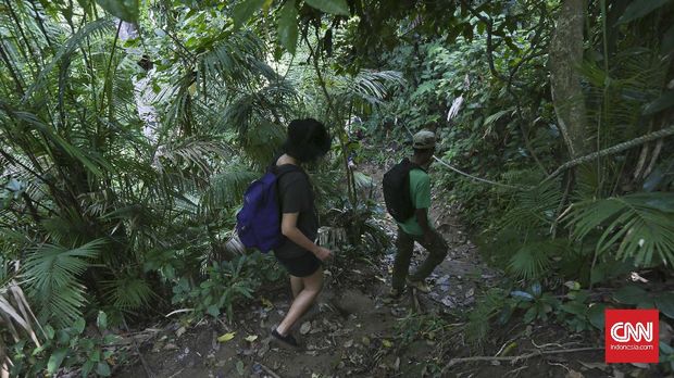 Banyuwangi yang Bikin Ingin Kembali