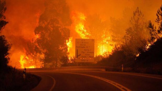 Kebakaran Hutan di Portugal
