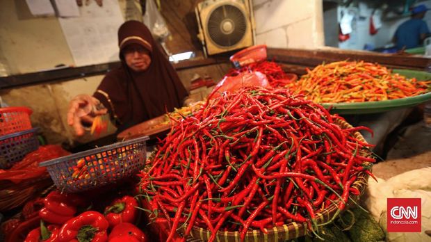 Dana Desa jadi 'Peluru' Sri Mulyani untuk Pertumbuhan Ekonomi