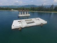 Ini Proyek Jembatan Terpanjang di Papua yang Dikebut Jokowi