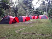 (Kurnia/detikTravel)