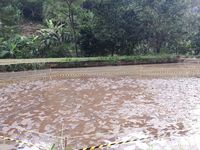 (Kurnia/detikTravel)