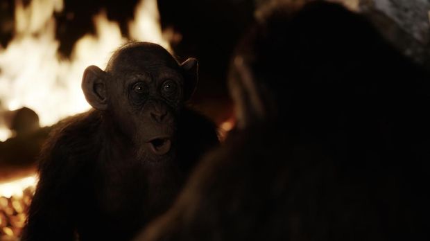 Bad Ape yang mencuri perhatian di War for the Planet of the Apes.