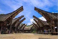 Rumah Tongkonan yang menjadi salah satu lintasan Toraja Marathon 2017 (Foto: Shutterstock)