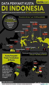 Infografis: Kondisi Terkini Penyakit Kusta di Indonesia