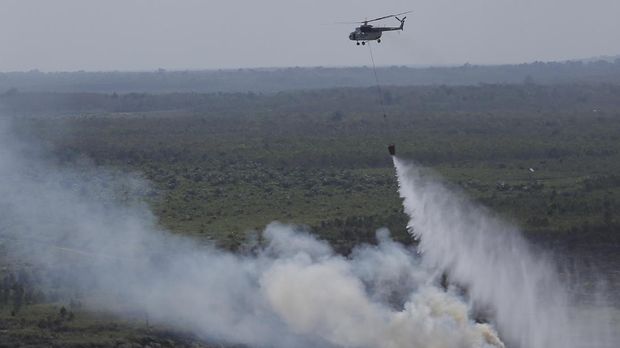 Kisah 'Pukulan Telak' untuk Indonesia Akibat Kebakaran Hutan