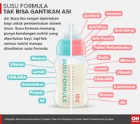 Susu Formula Tak Bisa Gantikan ASI 