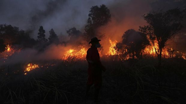 Antara Kebakaran Hutan, Teroris, dan Iklim Basah
