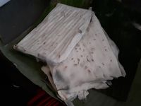 Empuk Gurih Mendoan Khas Banyumas Enak Dicocol Sambal 