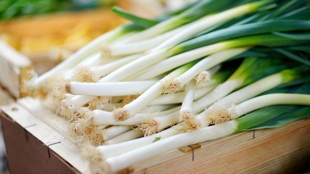 Enam Jenis Bawang dan Fungsinya dalam Makanan
