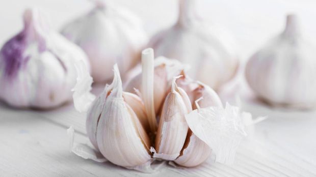 Enam Jenis Bawang dan Fungsinya dalam Makanan