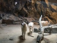 Seharian Main di Taman Rekreasi Keren China, Seperti Apa?
