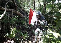 TNI Boleh Narsis di Medsos, Tapi Ada Aturannya