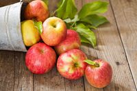Agar Tak Cepat Loyo Tingkatkan Stamina Pria dengan 5 Buah Agar Tak Cepat Loyo Tingkatkan Stamina Pria dengan 5 Buah