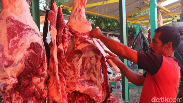 Harga daging sapi di Aceh melonjak jadi Rp 150.000/kg