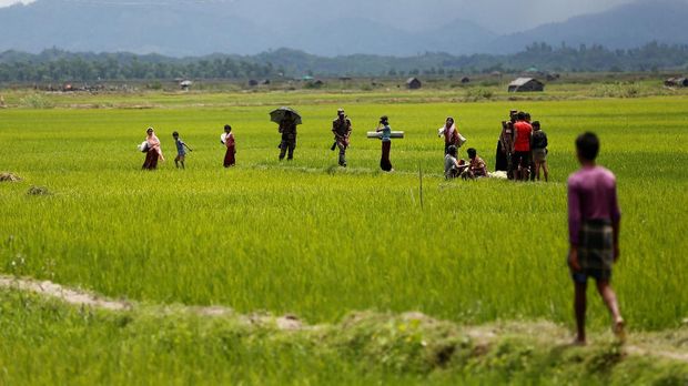 Menyimak Derita Muslim Rohingya dari Mata Relawan Pramuka