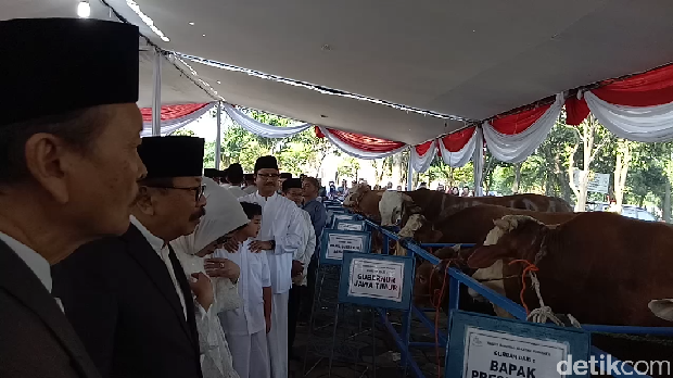 Gubernur Soekarwo Serahkan Sapi Sumbangan Jokowi ke Masjid 