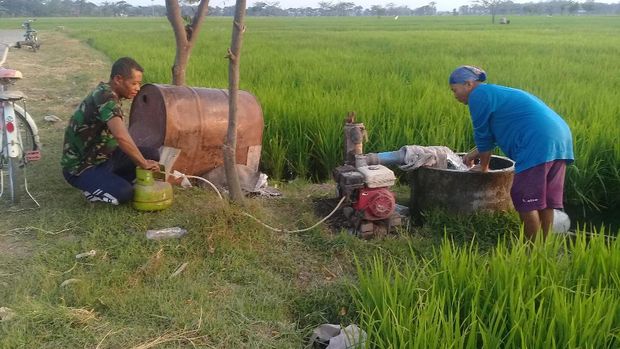 Petani Magetan Gunakan Elpiji untuk iBahani iBakari iPompai iAiri 