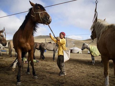 Anak Mongol yang Merawat Kuda Pacuan./Foto: Johannes Eisele Photography