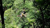 (flyinghanuman.com)
