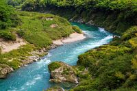 Sungai YOshino yang memiliki air toska jernih