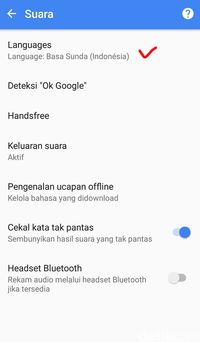 Bisa Ngomong Jawa dan Sunda Sama Google, Begini Caranya 