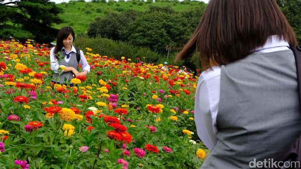 Turis lokal foto-foto di kebun bunga ini (Rachman/detikTravel)