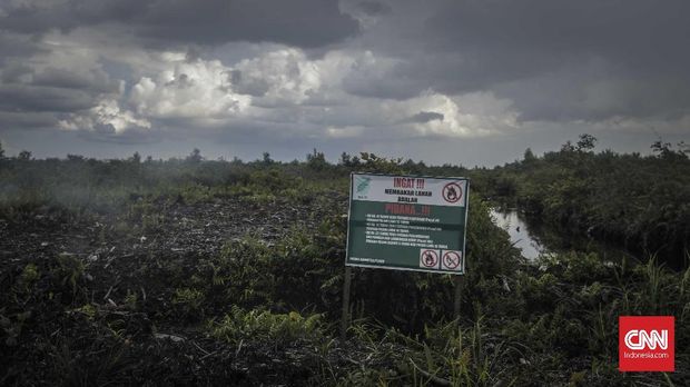 Besok, Menteri Panggil Bos RAPP Soal 'Pembangkangan'