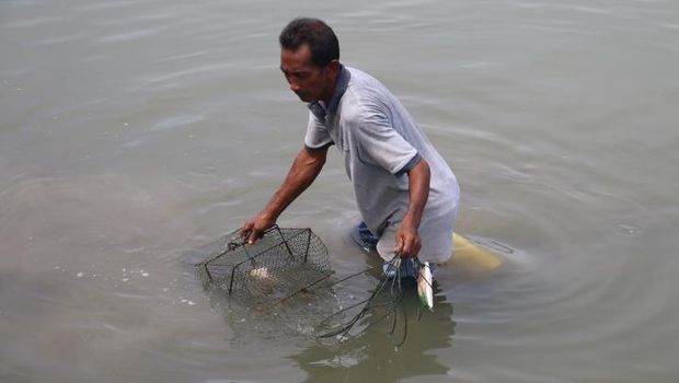 Bule-bule Ikutan Wisata Tangkap Kepiting di Aceh
