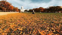 White House di Washington DC./