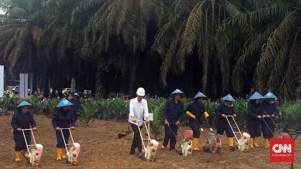 Elektabilitas Jokowi untuk 2019 Belum Aman