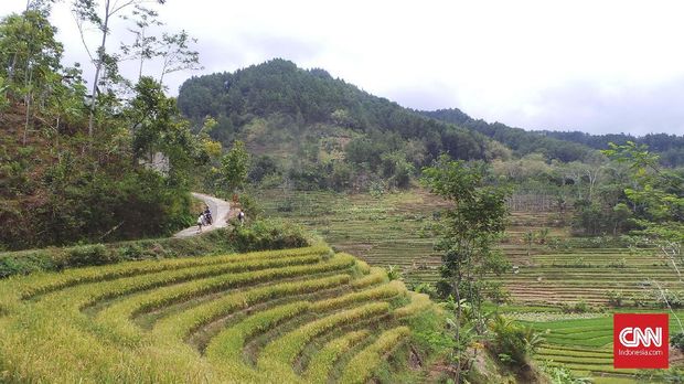Amanjiwo, Menemukan Jalan Pulang di Magelang