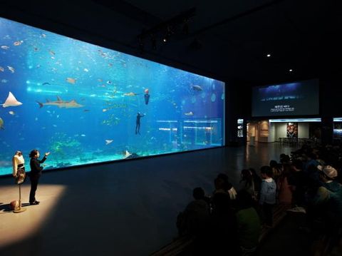 Hanwha Aqua Planet Jeju