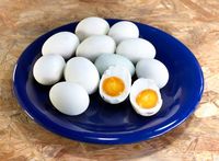 Lebih Baik Mana Telur Rebus Bebek Biasa atau Telur Asin Lebih Baik Mana Telur Rebus Bebek Biasa atau Telur Asin