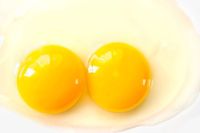 Wah, Pria Ini Berturut-turut Temukan 12 Telur dengan Dua Kuning!