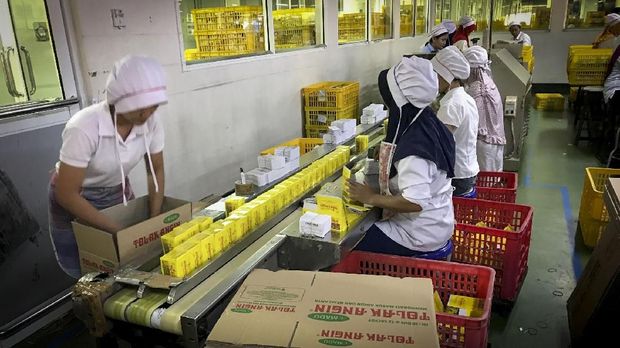 Mengulik Rekam Jejak Enam Dekade Perjalanan Jamu