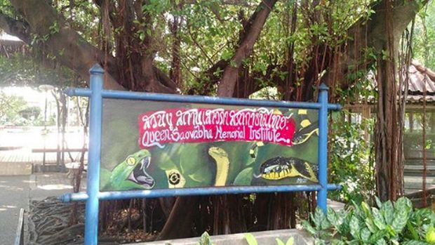 Ajak Anak Liburan ke Thailand? 5 Museum Ini Layak Dikunjungi