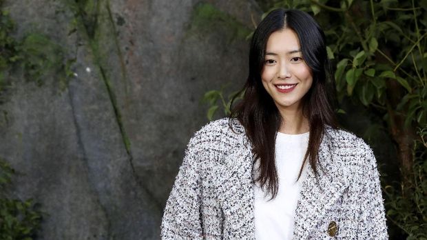 Liu Wen