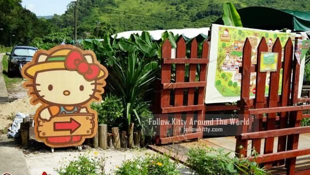 Liburan Bareng Anak ke Hong Kong Tapi 'Hemat Kantong'? Bisa Banget