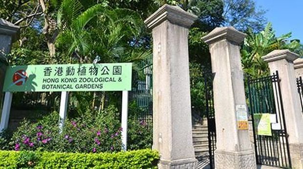 Liburan Bareng Anak ke Hong Kong Tapi 'Hemat Kantong'? Bisa Banget