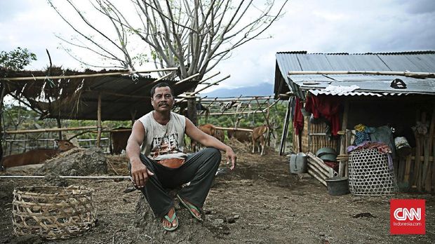 Ketika Ketut Sunaryo Pilih Ternak Ketimbang Mengungsi