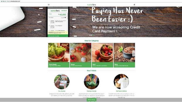 Menjajal 4 Aplikasi dan Situs Beli Sayur Buah dari Petani