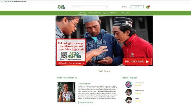 Menjajal 4 Aplikasi dan Situs Beli Sayur Buah dari Petani