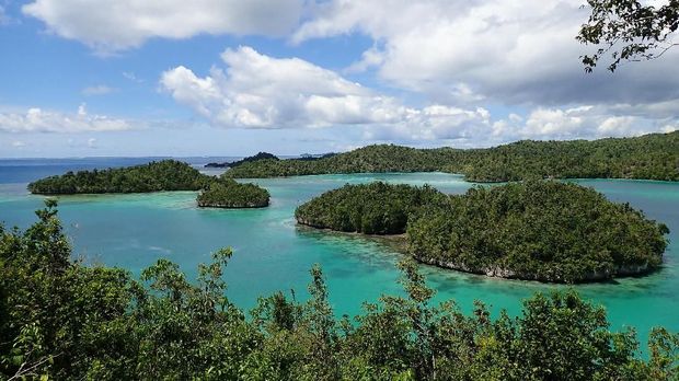 'Olesio' Banggai Laut