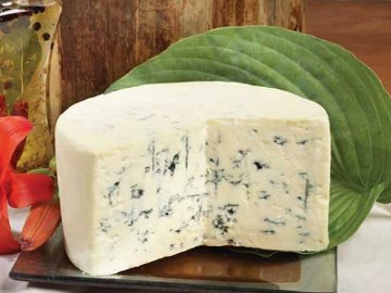 Blue Cheese, Keju Berjamur yang Lezat! Blue Cheese, Keju Berjamur yang Lezat!
