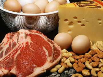 Makanan Rendah Protein Picu Kenaikan Berat Badan Makanan Rendah Protein Picu Kenaikan Berat Badan