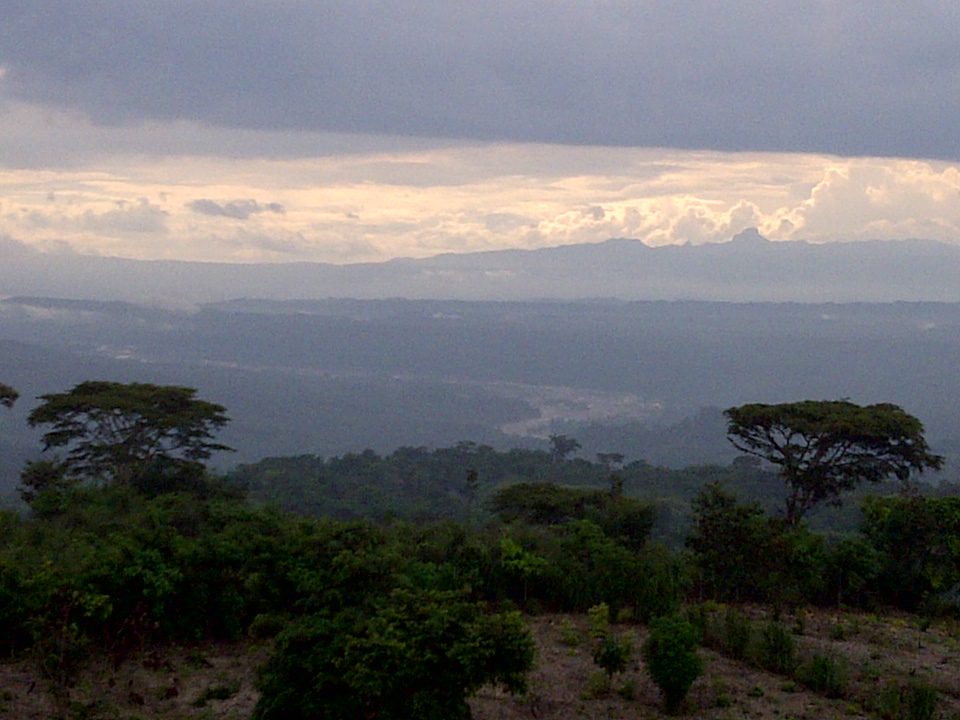 Soe di NTT, Hutan Twilight Ala Indonesia