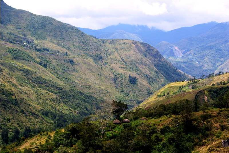 Terpesona dengan Keanggunan Wamena 3