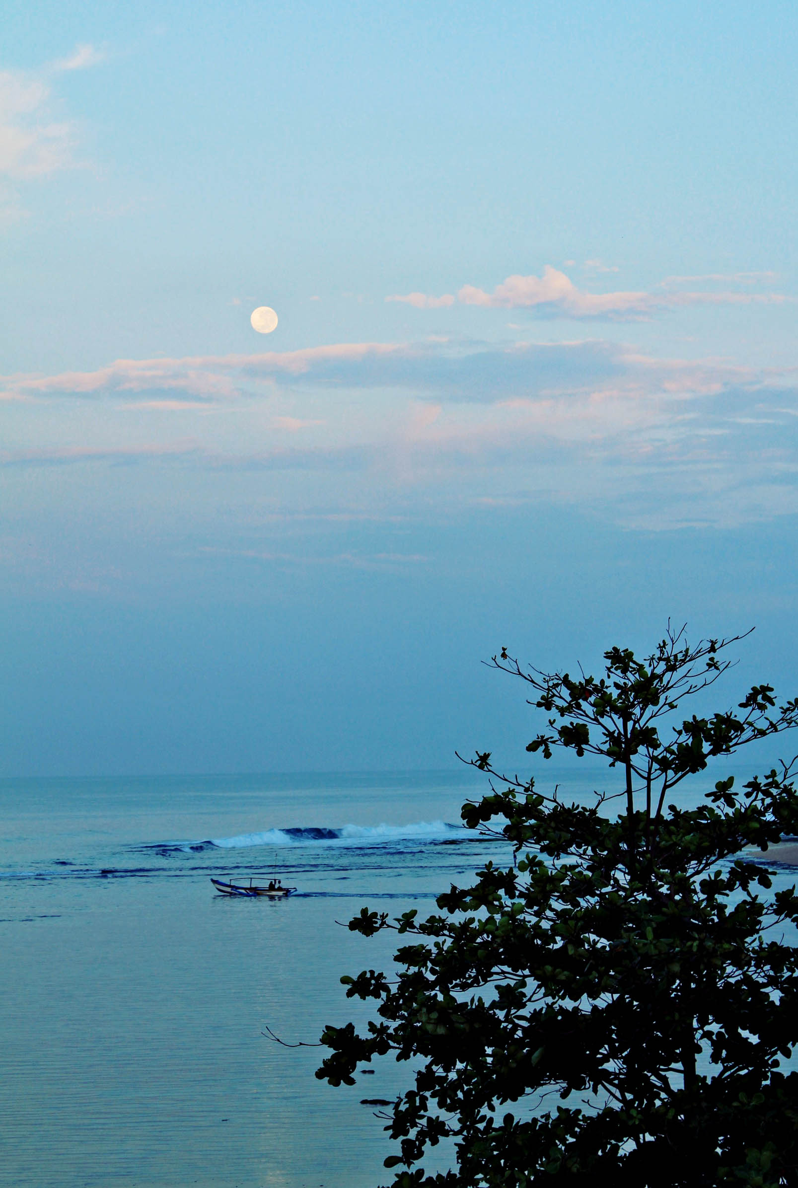 Serunya Bertemu Penyu di Pantai Ujung Genteng Sukabumi